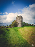 Crom Old Castle and Yews